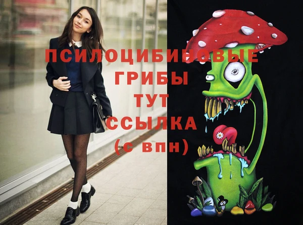 индика Чердынь