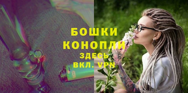 индика Чердынь