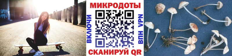 Галлюциногенные грибы Psilocybe  Купить закладки  Черноголовка 